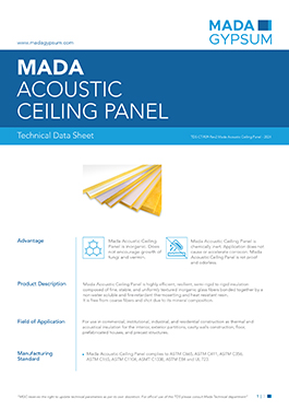 Acoustic Ceiling Panel