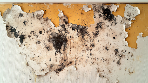 Common Drywall Problems: Tips and Prevention Methods